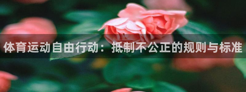 77体育app下载官网