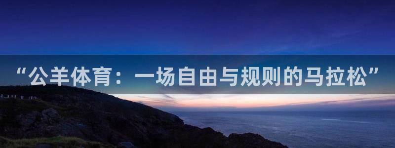 77体育官网