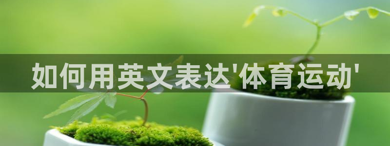77体育app下载官网