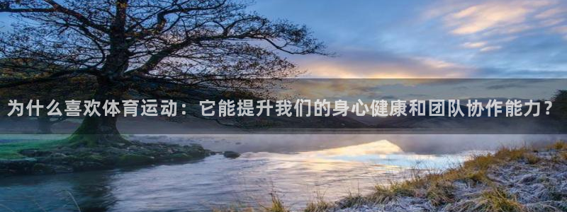 77体育