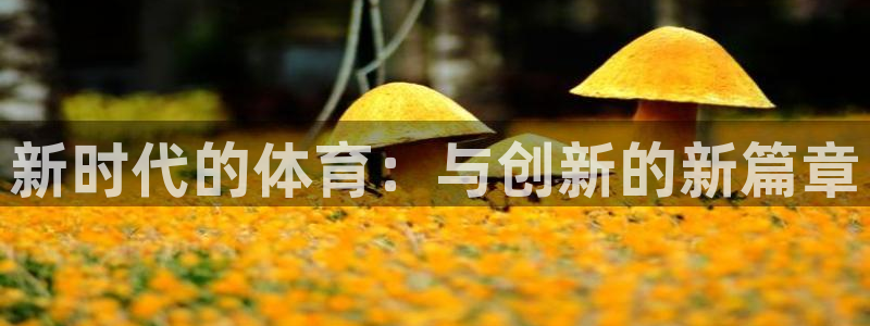 77体育官网