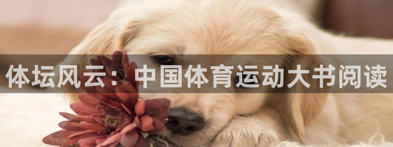 77体育官网