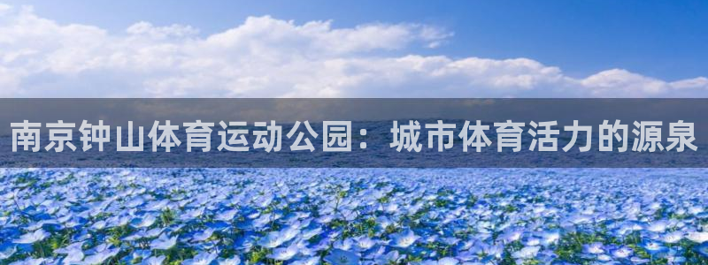 77体育官网