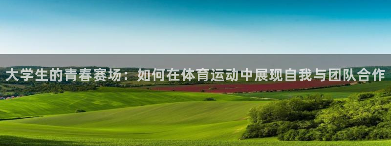 77体育官网