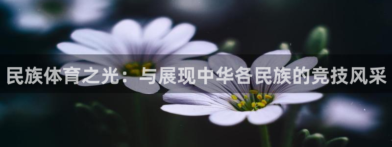 皇冠277体育