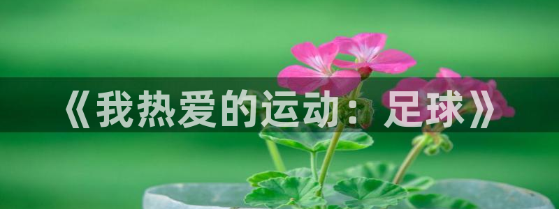77体育