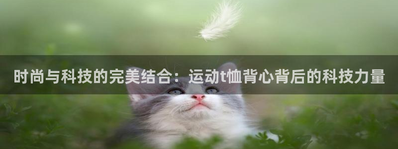 77体育官网